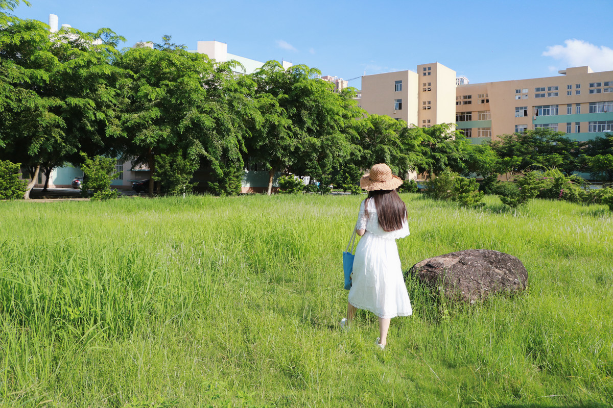 青葱岁月  第4张