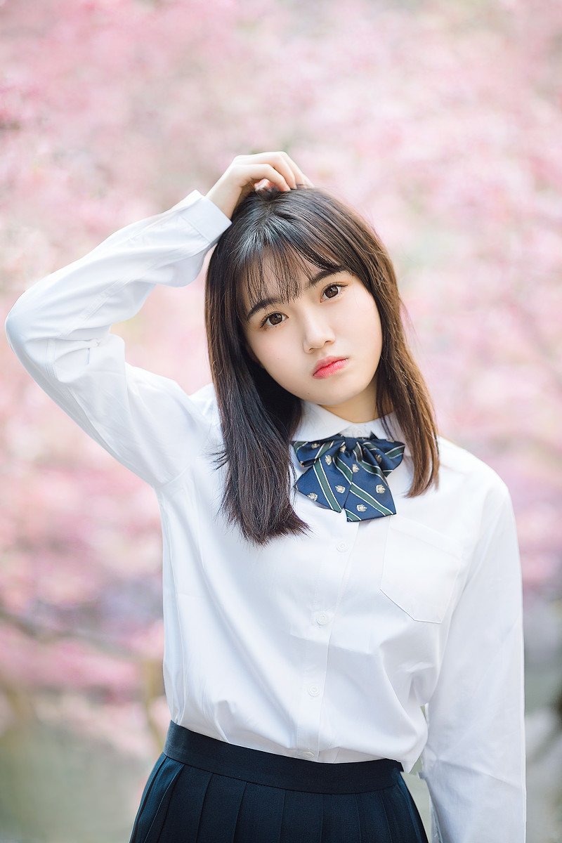 樱花物语  第1张