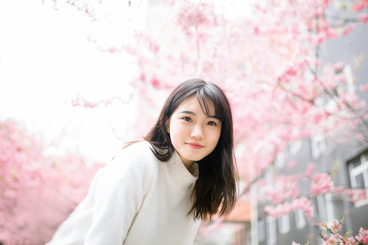 樱花物语  第2张