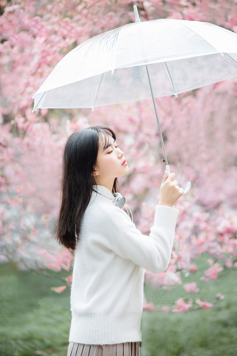 樱花物语  第3张