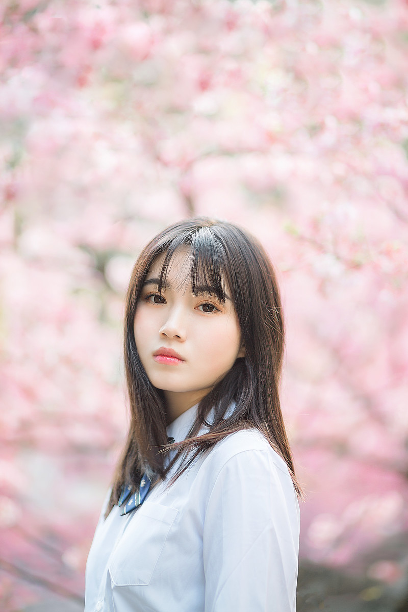 樱花物语  第4张