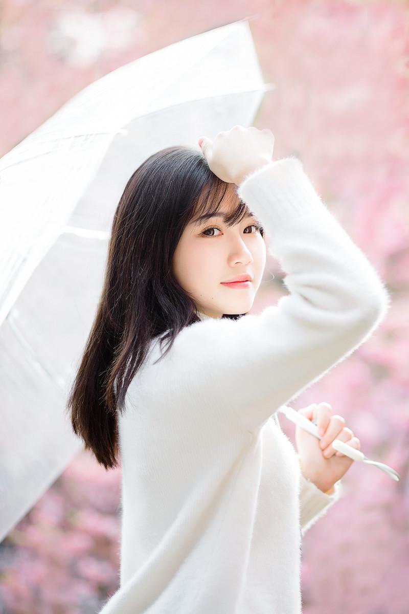 樱花物语  第5张