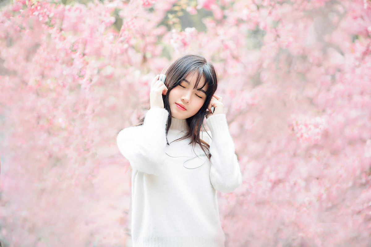 樱花物语  第6张