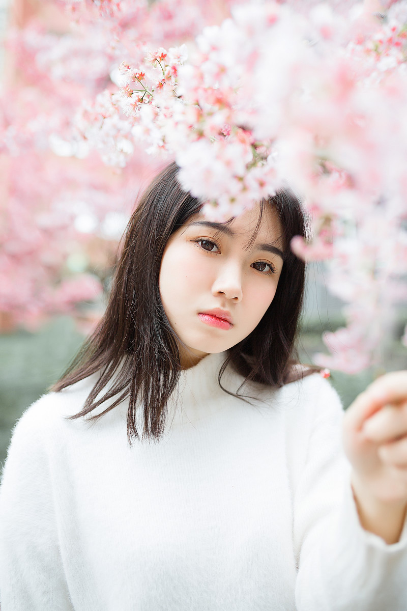 樱花物语  第8张