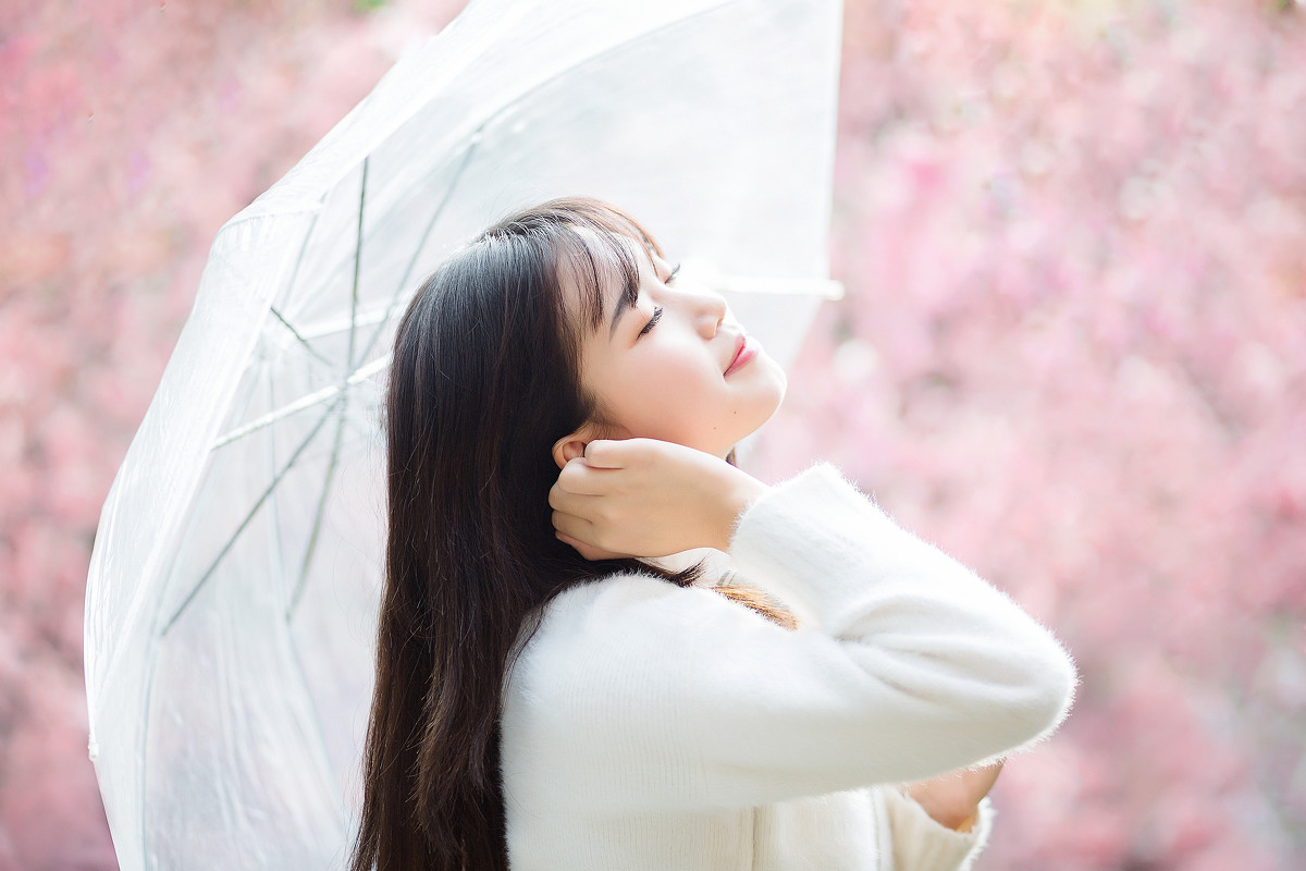 樱花物语  第9张