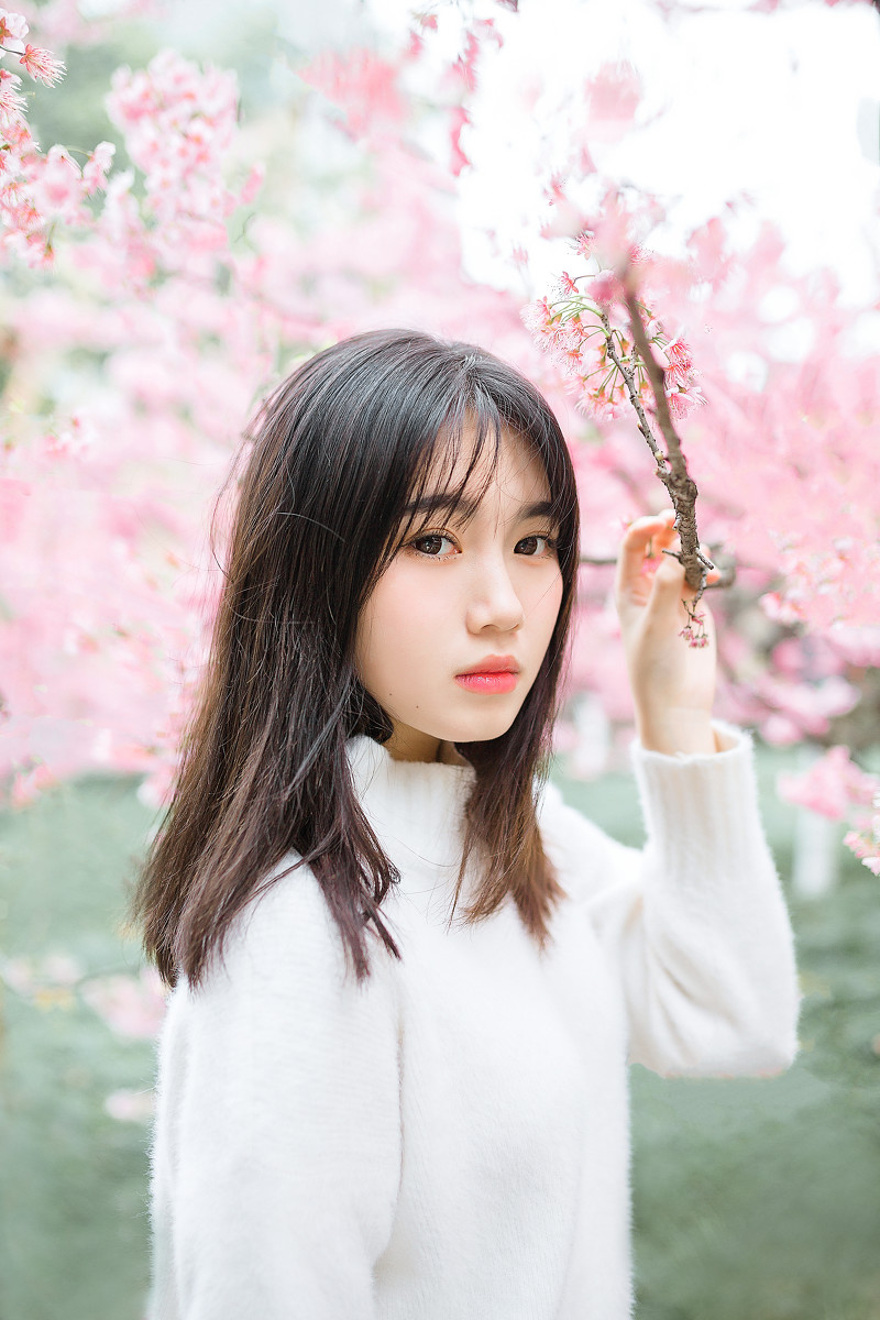 樱花物语  第10张