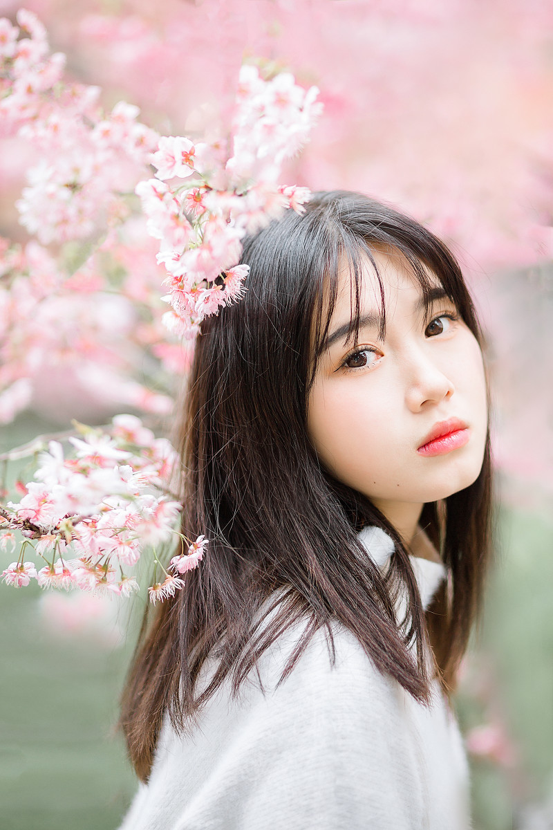 樱花物语  第12张