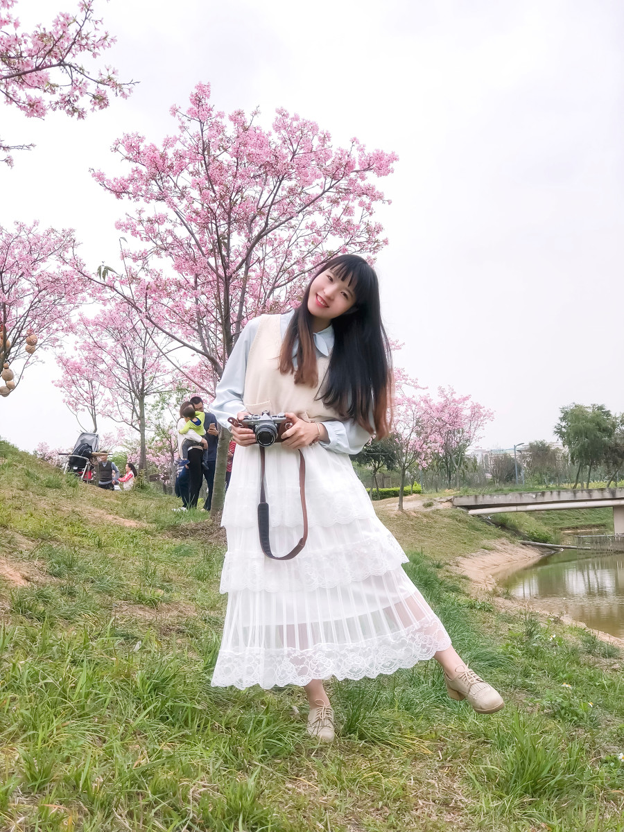 落樱少女  第3张