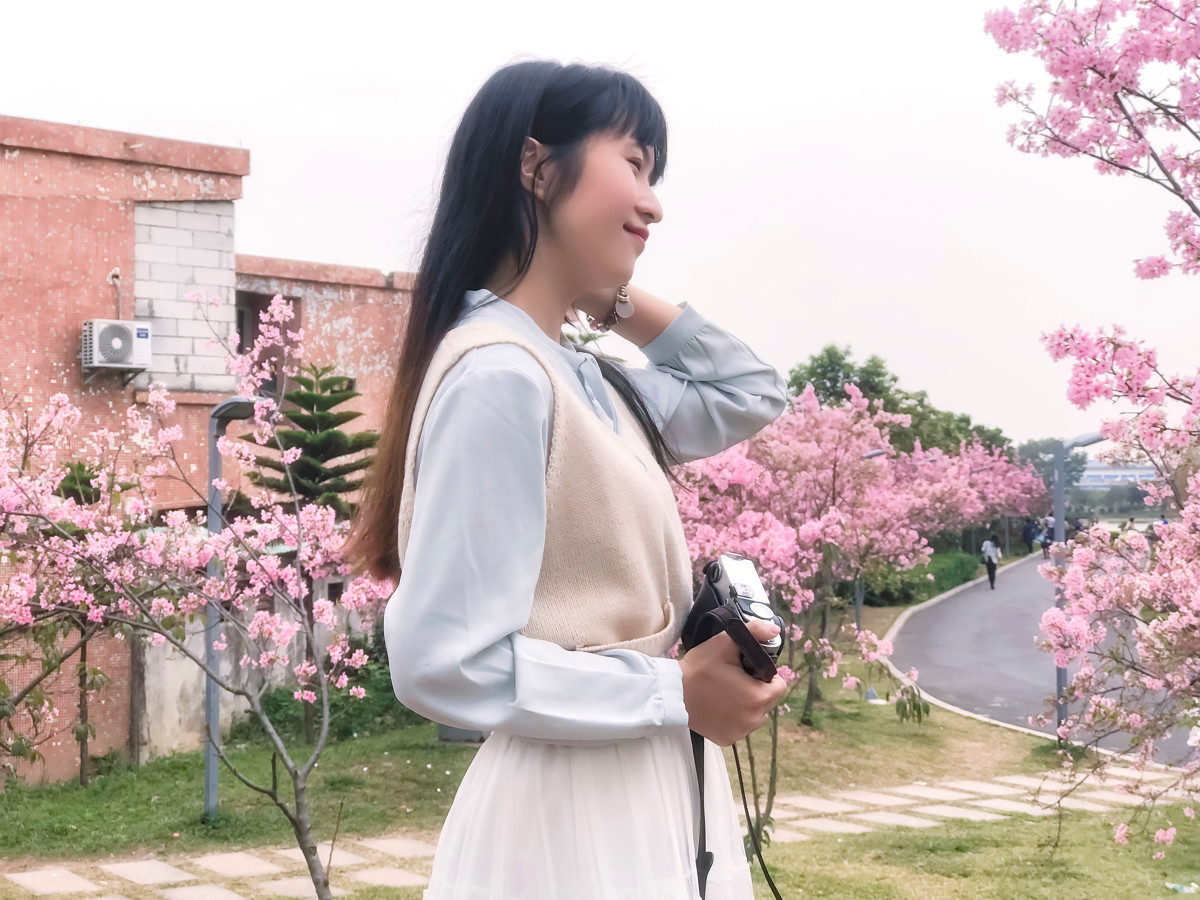 落樱少女  第4张
