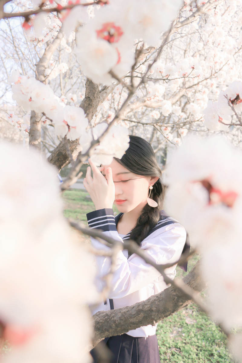 落樱少女  第6张