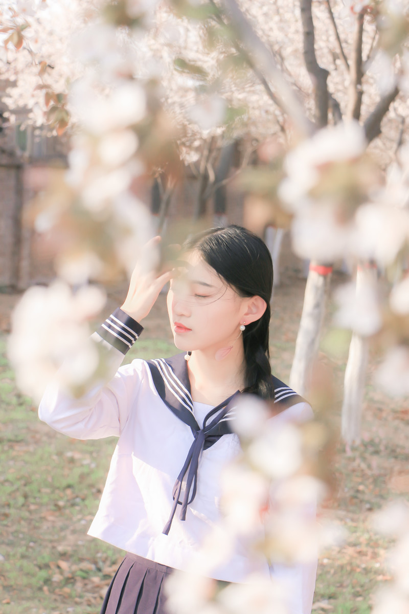 落樱少女  第7张