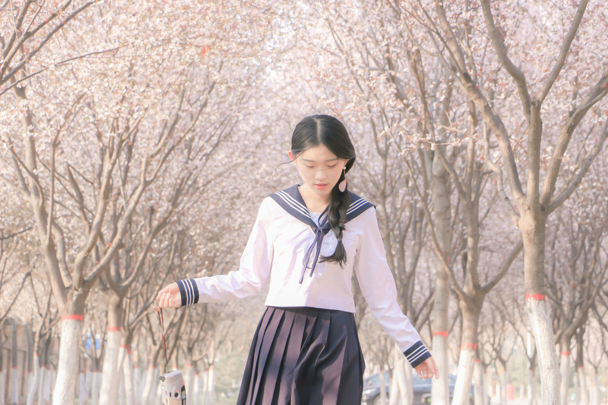 落樱少女  第8张