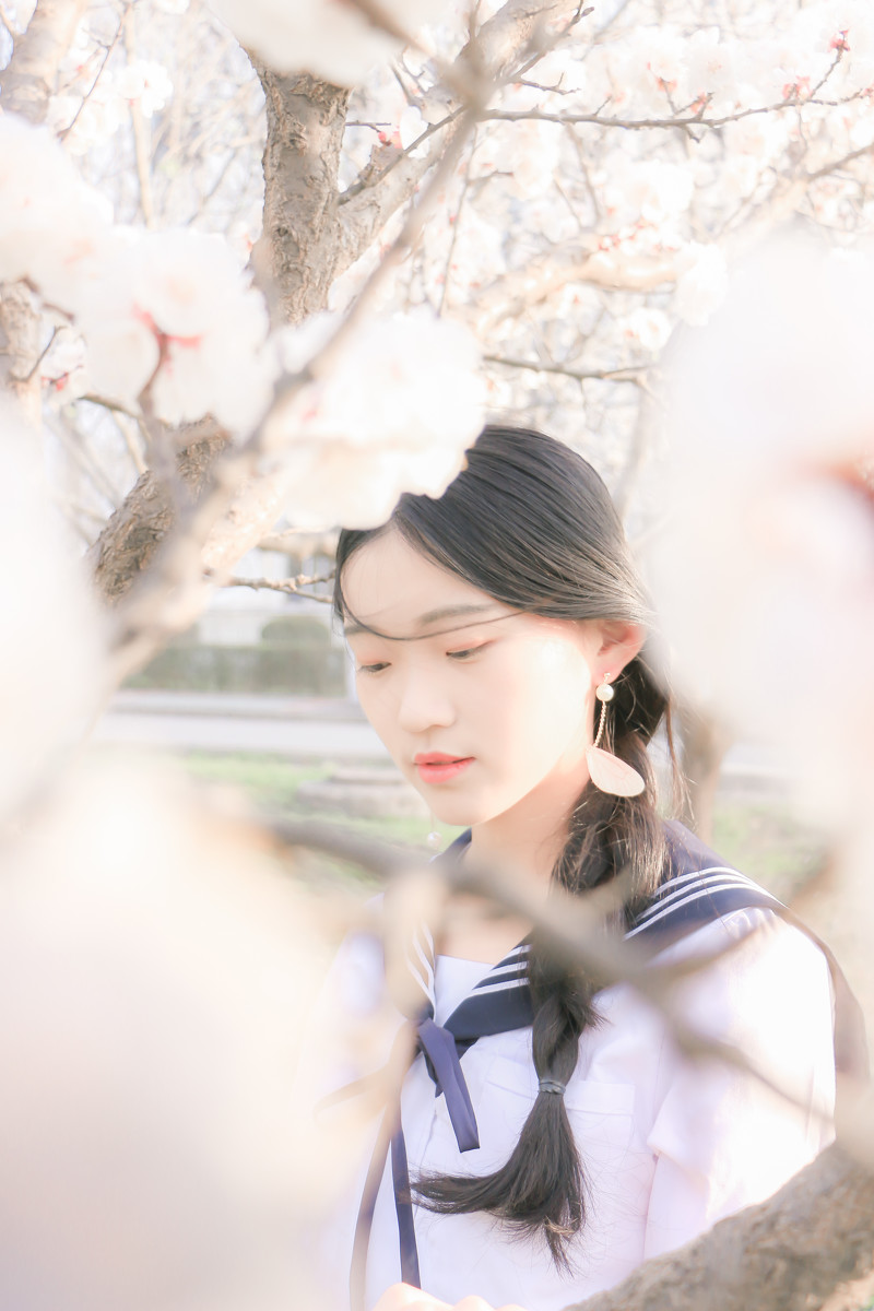 落樱少女  第11张