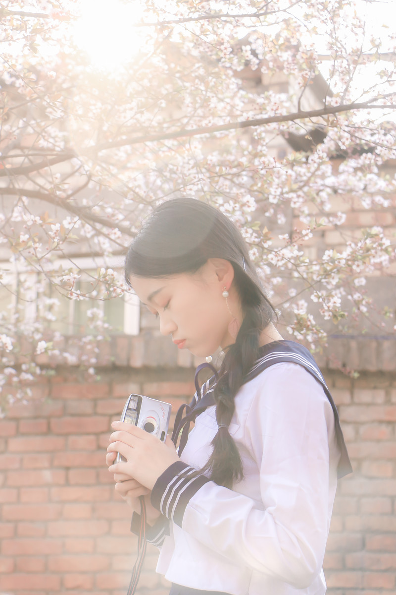 落樱少女  第13张