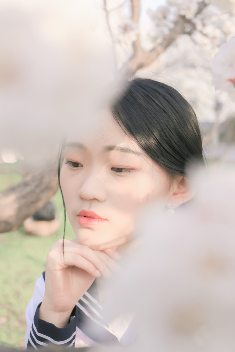 落樱少女  第14张