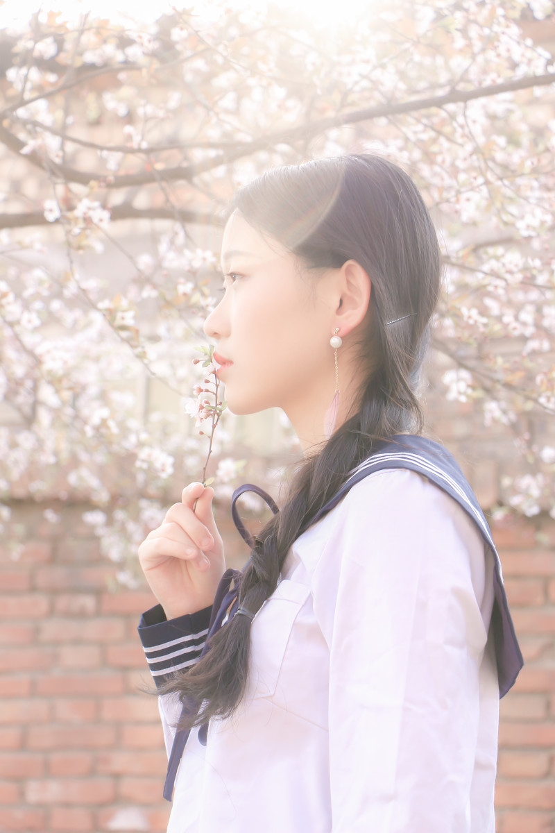 落樱少女  第15张