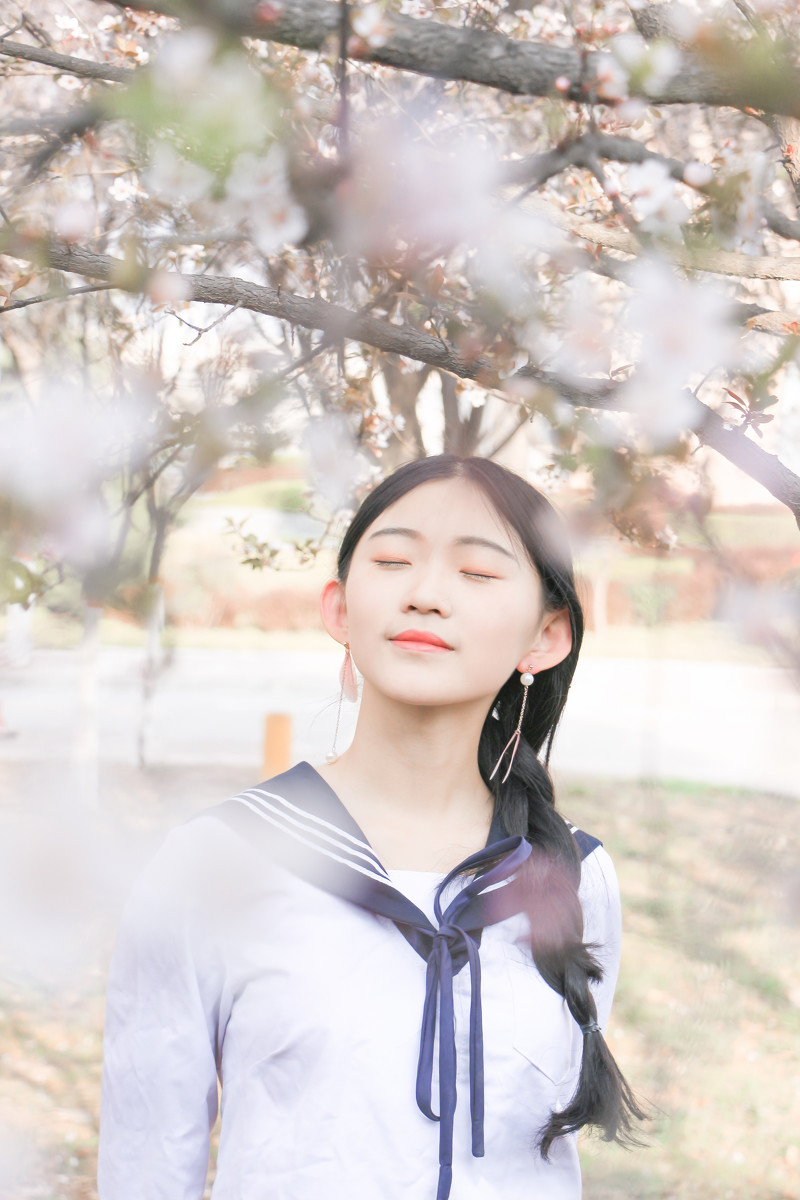 落樱少女  第16张