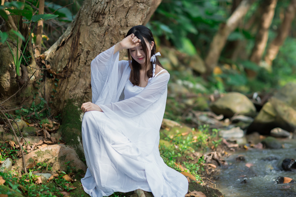 林中仙女  第3张