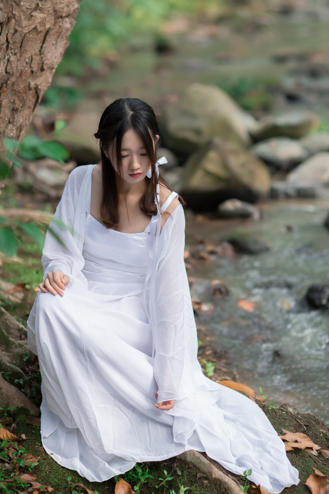 林中仙女  第4张