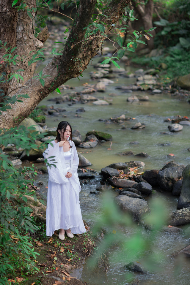 林中仙女  第11张