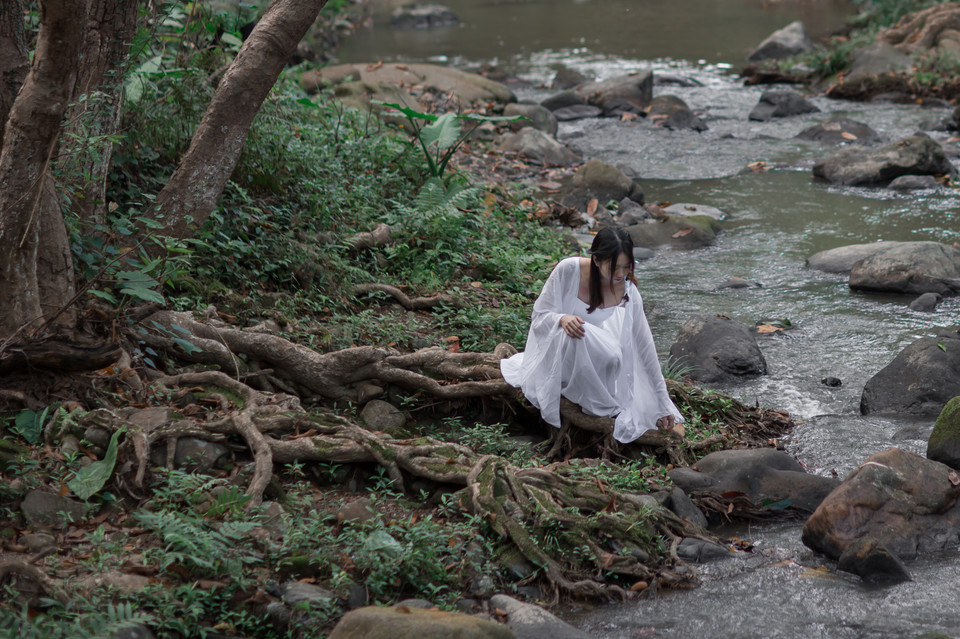 林中仙女  第12张