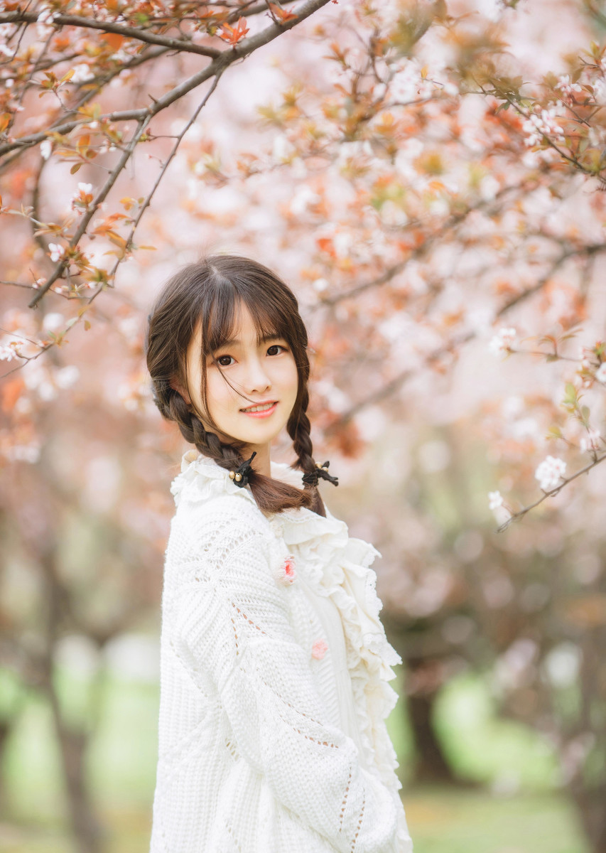樱树花下女  第1张