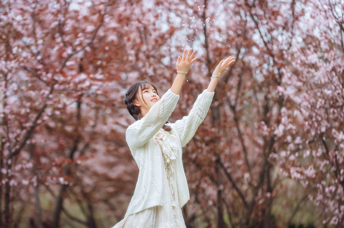 樱树花下女  第9张