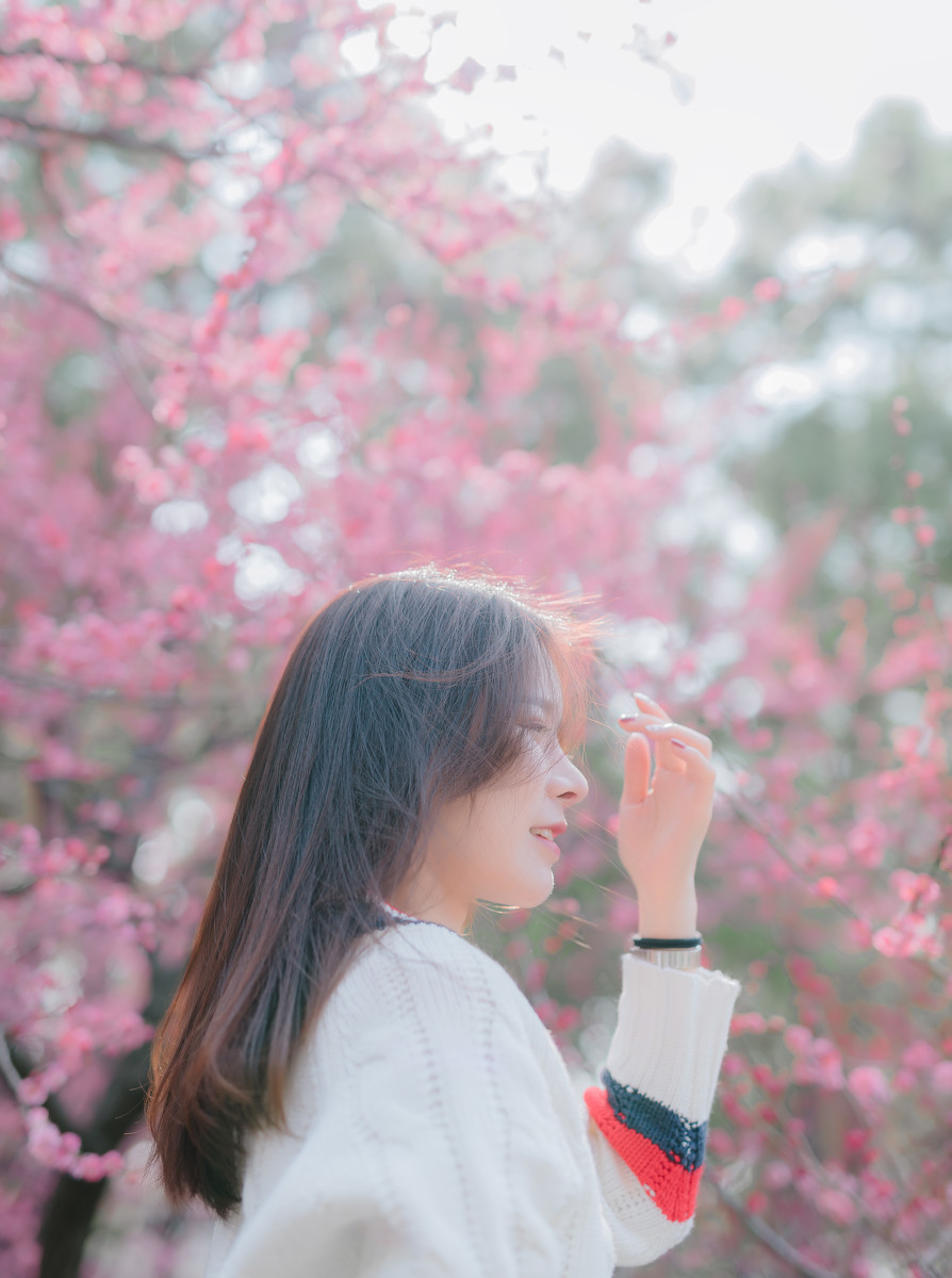 春天来啦  第1张