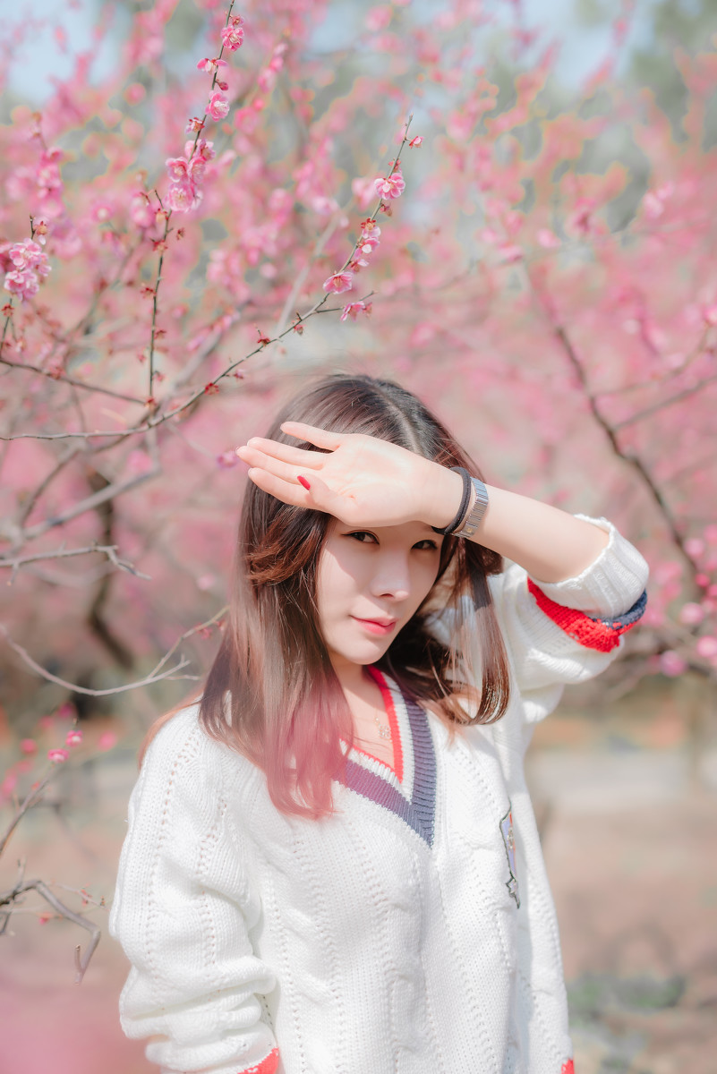 春天来啦  第2张