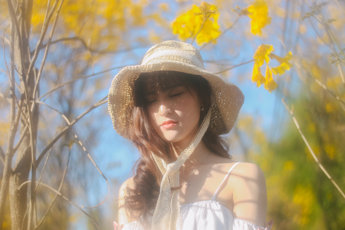 梦里寻花  第2张