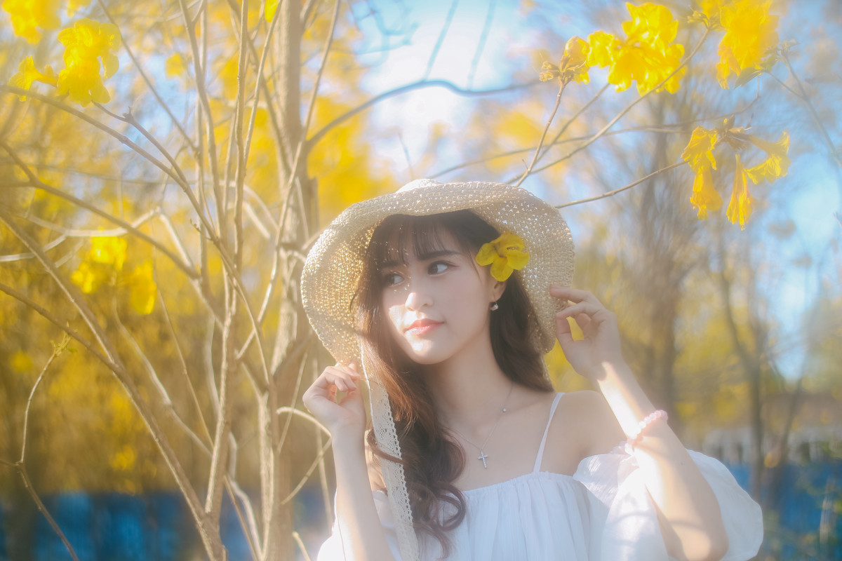 梦里寻花  第3张