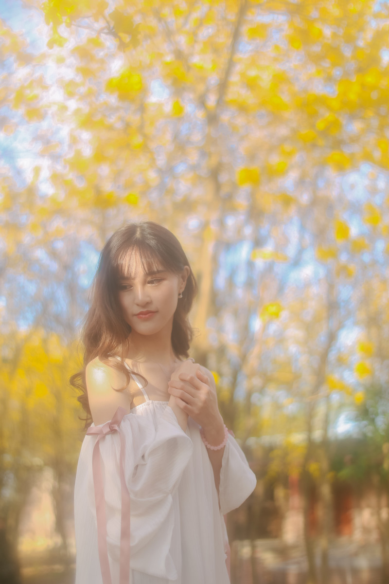 梦里寻花  第11张