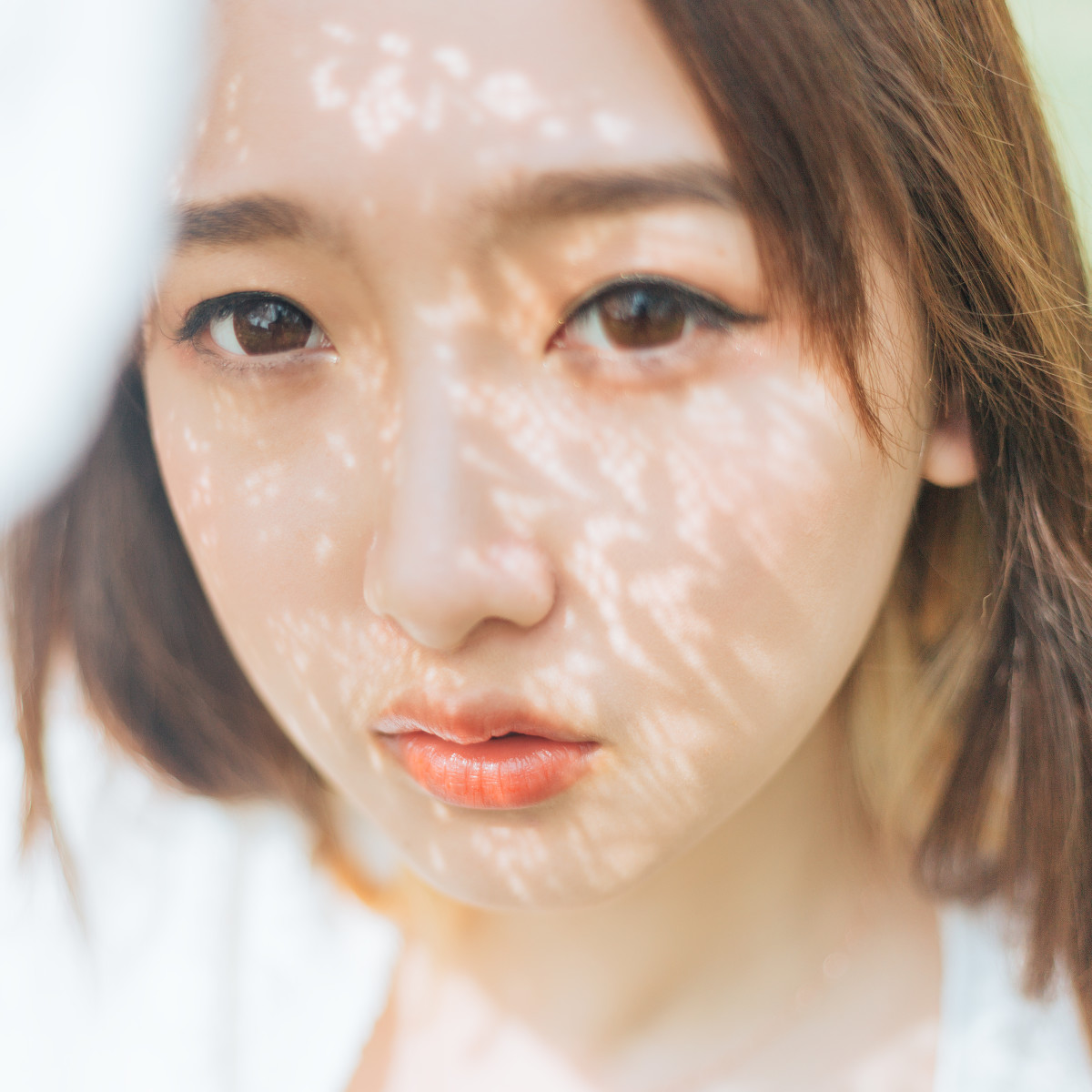 春风十里  第1张