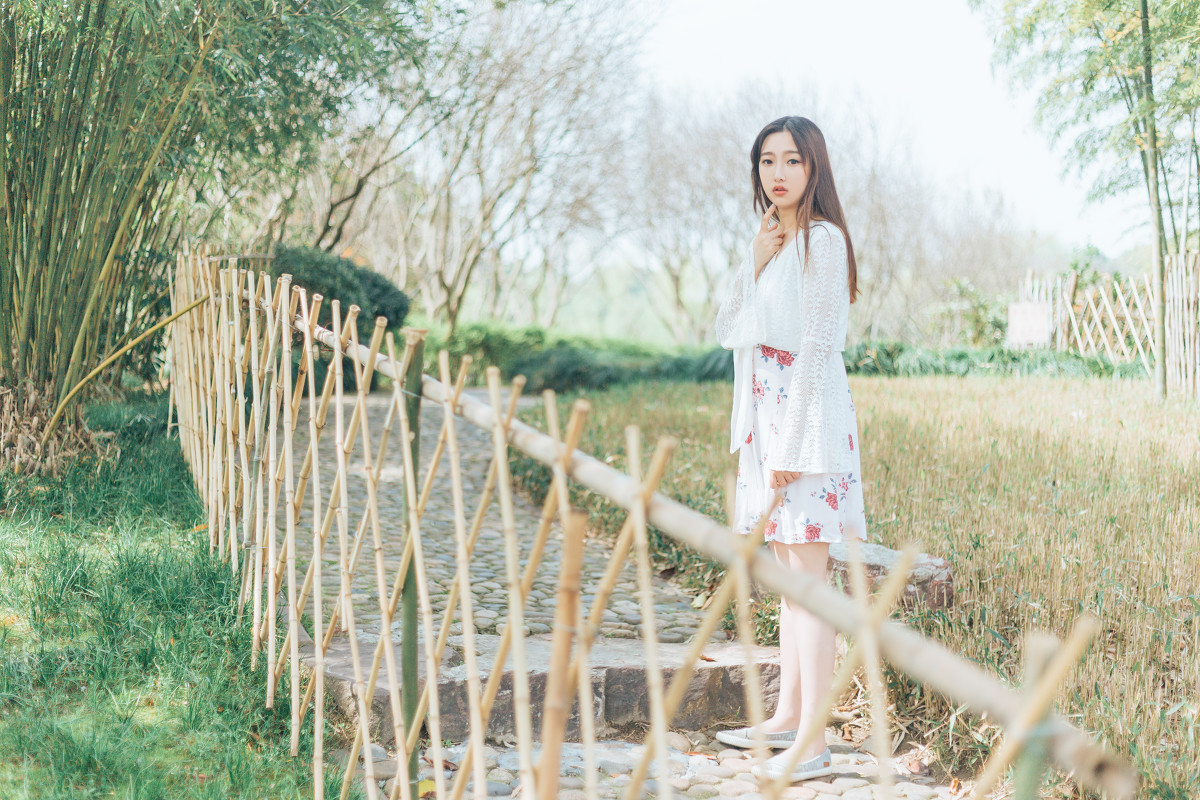 春风十里  第3张