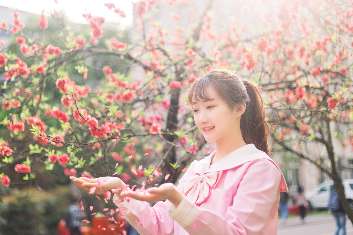 清新校园  第13张