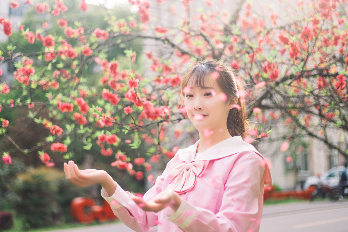 清新校园  第14张