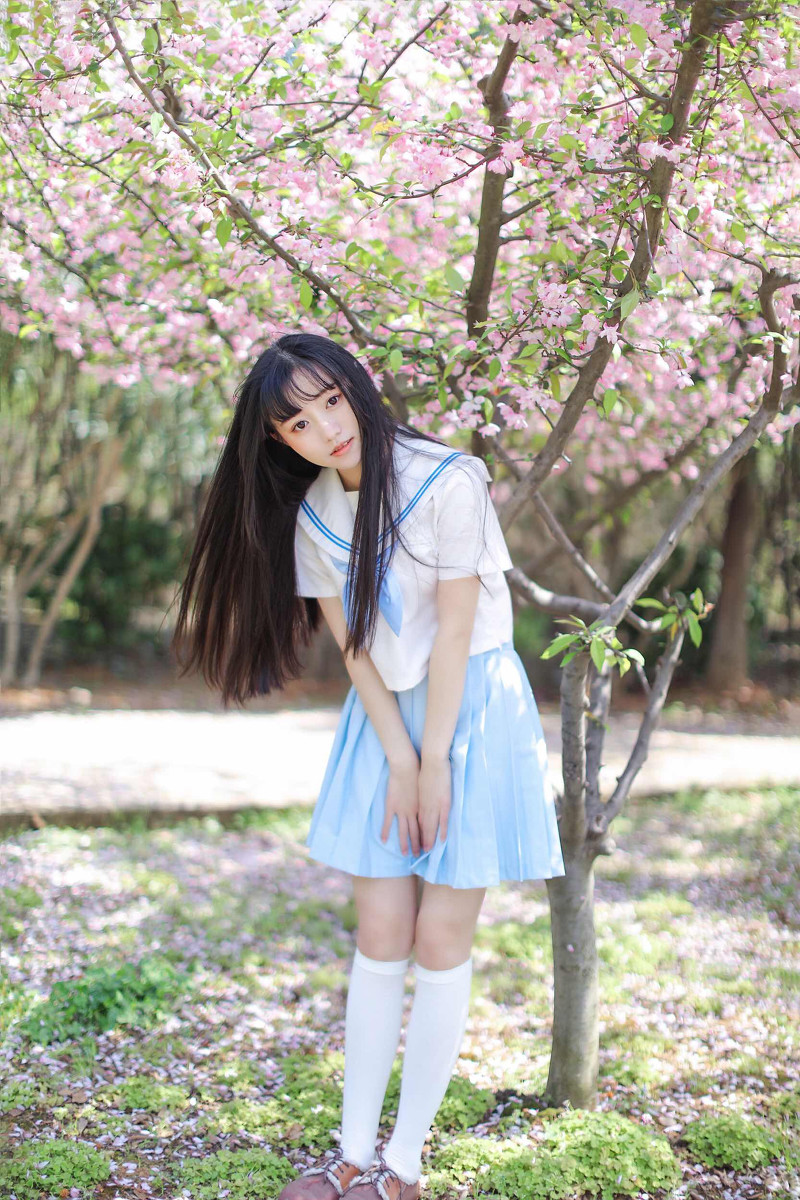 海棠花与JＫ  第7张