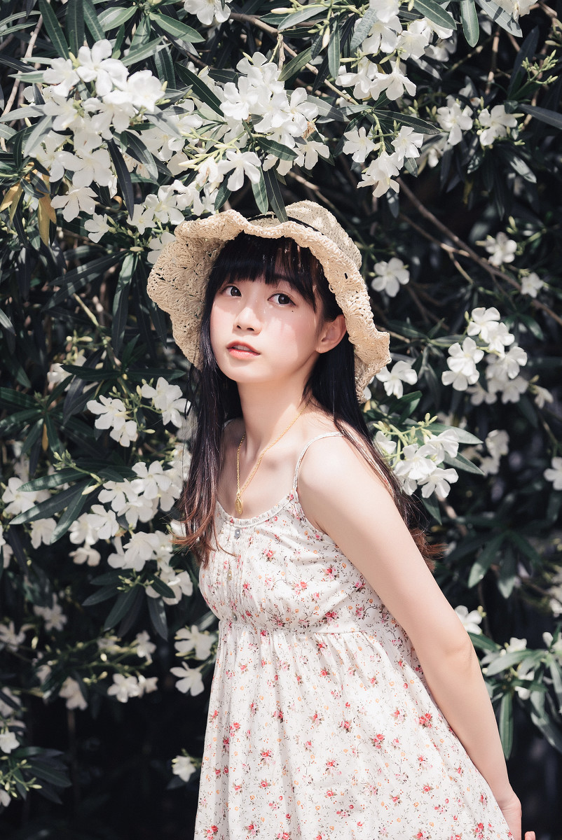 夹竹桃的秘密  第1张