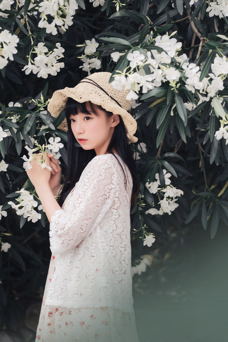 夹竹桃的秘密  第3张