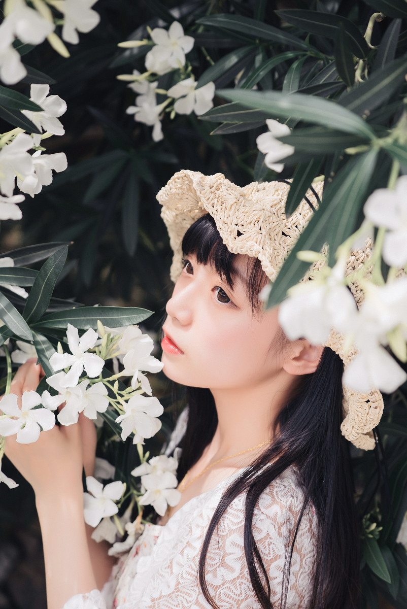 夹竹桃的秘密  第4张