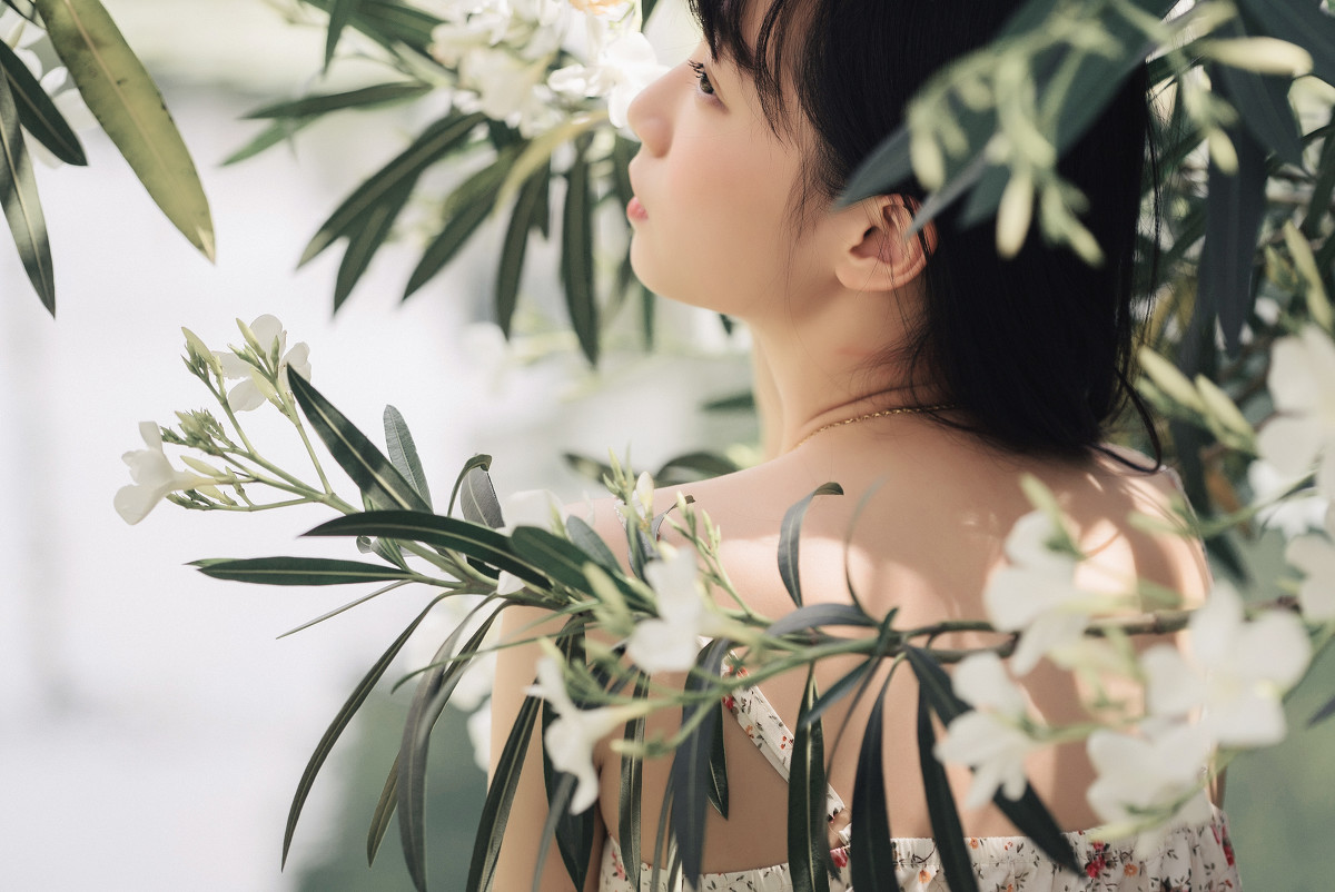 夹竹桃的秘密  第9张