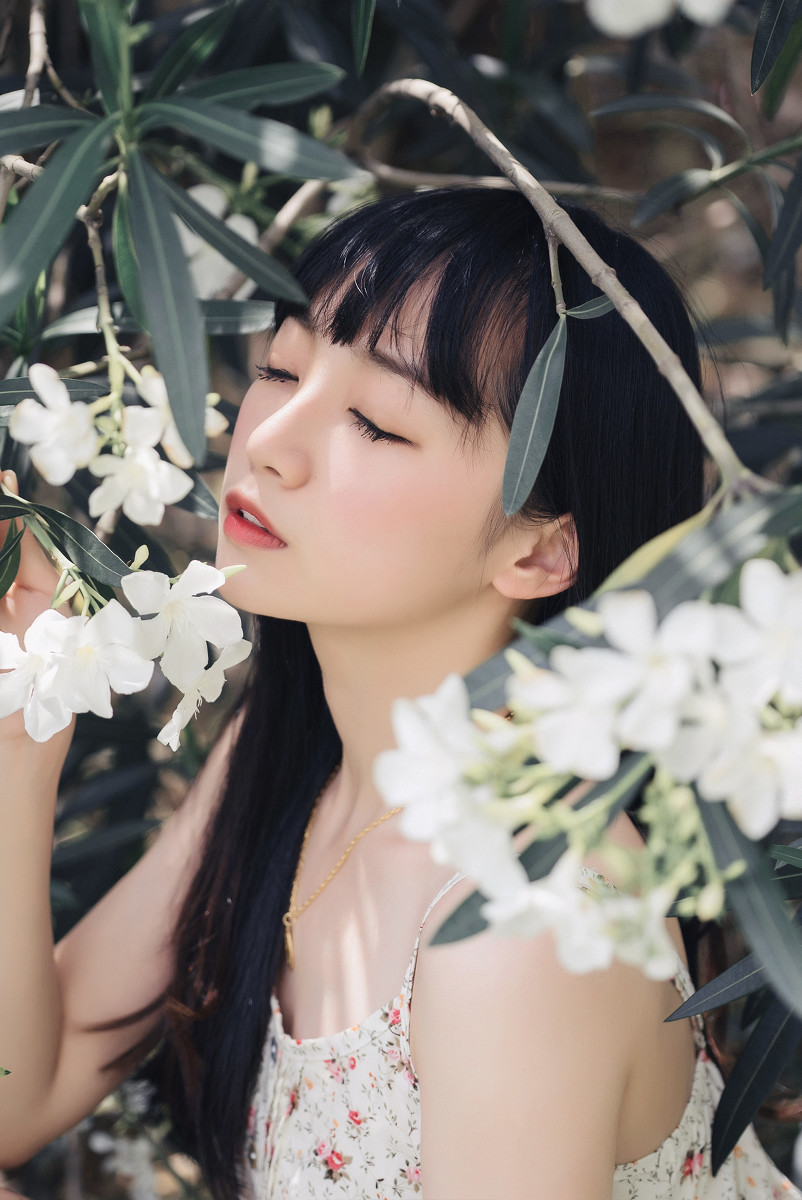 夹竹桃的秘密  第10张