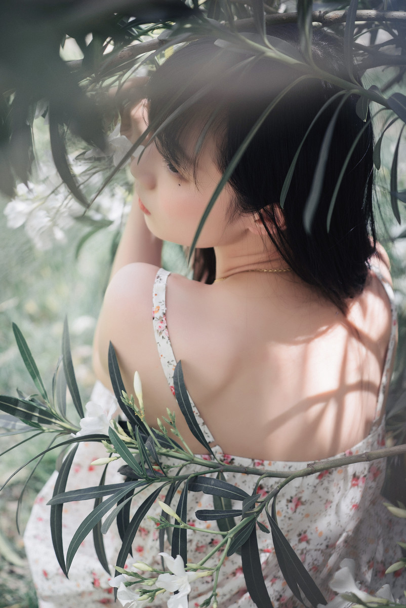 夹竹桃的秘密  第12张