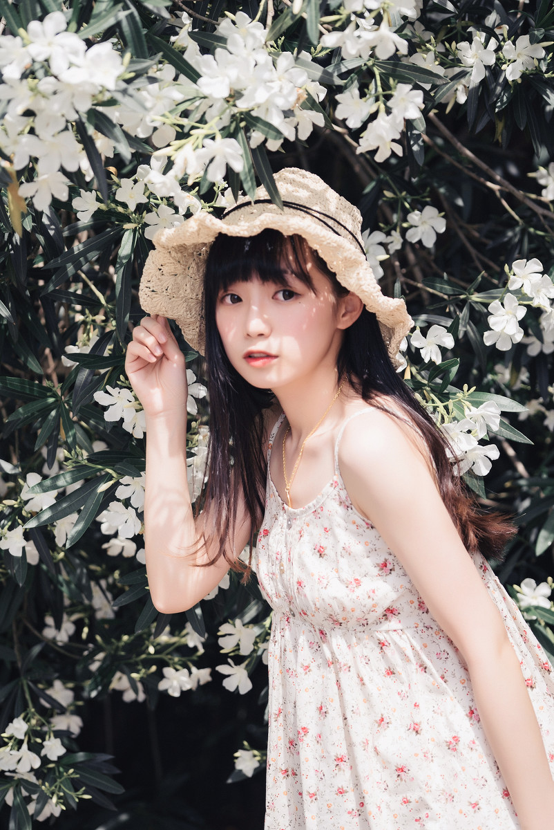 夹竹桃的秘密  第15张