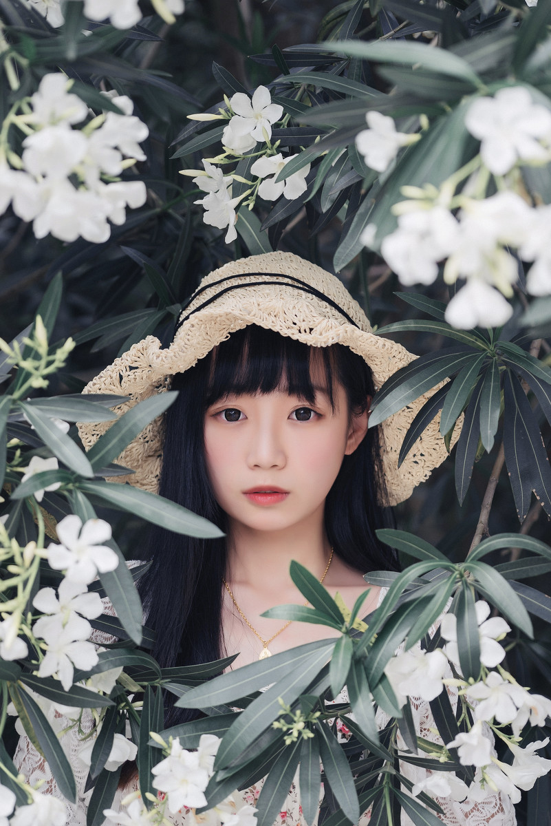 夹竹桃的秘密  第16张