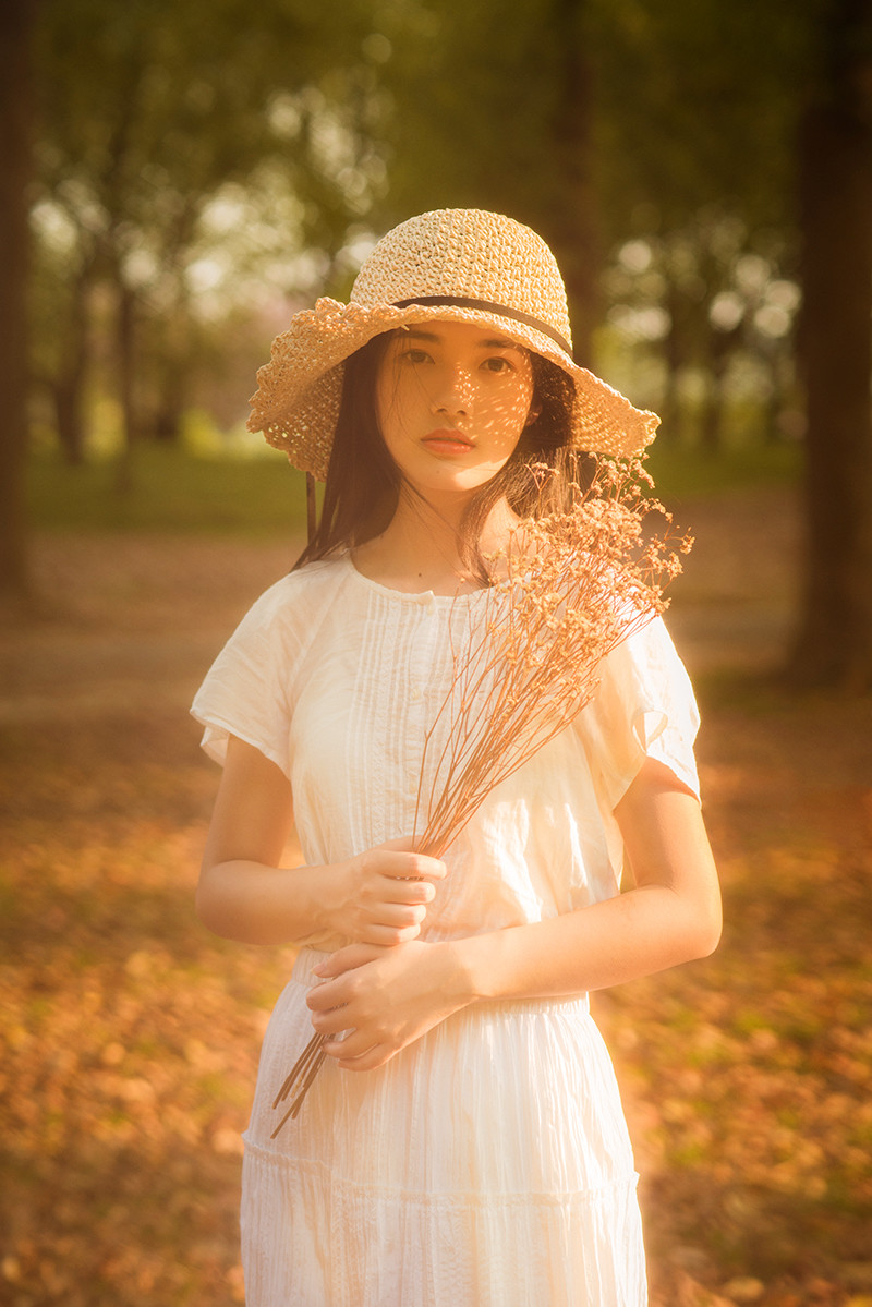 暮色森林  第7张