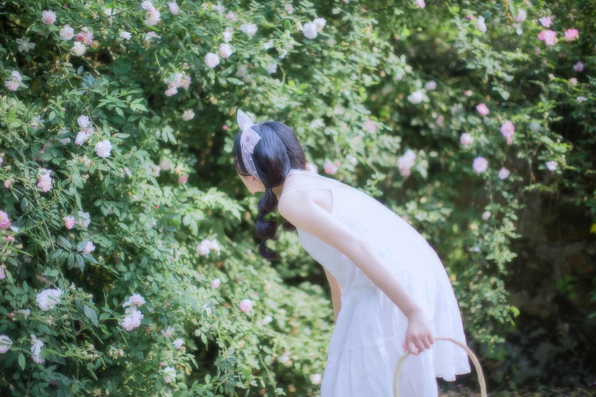 蔷薇之恋  第6张