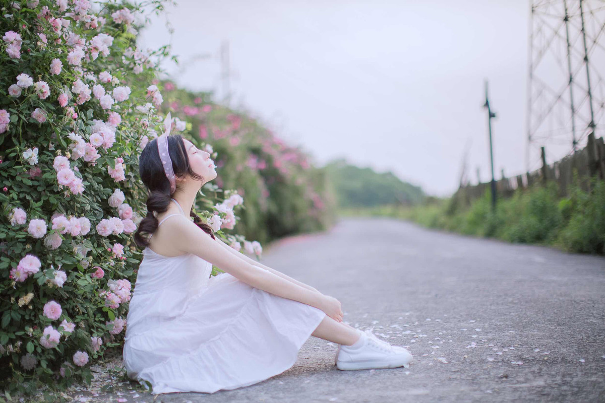 蔷薇之恋  第22张