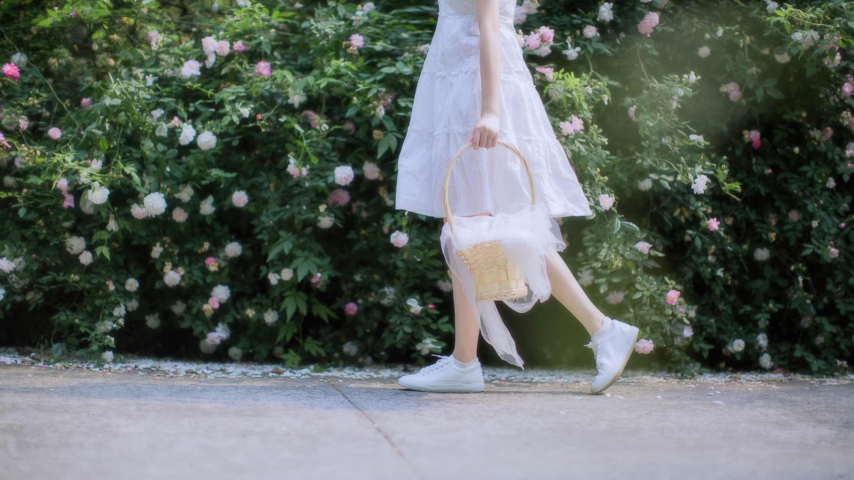 蔷薇之恋  第26张