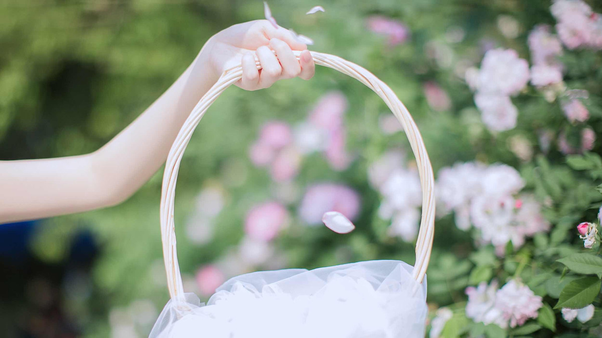 蔷薇之恋  第27张